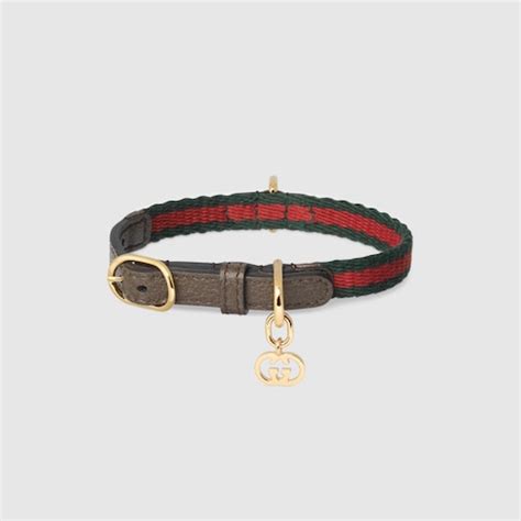 authentic gucci cat collar|gucci dog collar backpack.